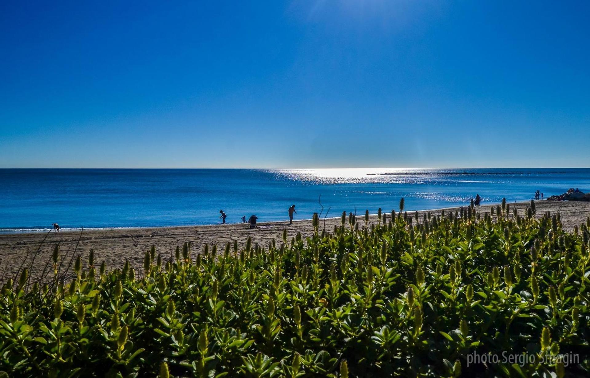 Apartamentos Los Cisnes - 2º Linea De Playa - Perfecta Ubicacion 贝纳尔马德纳 外观 照片